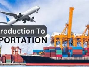 Master China Importation
